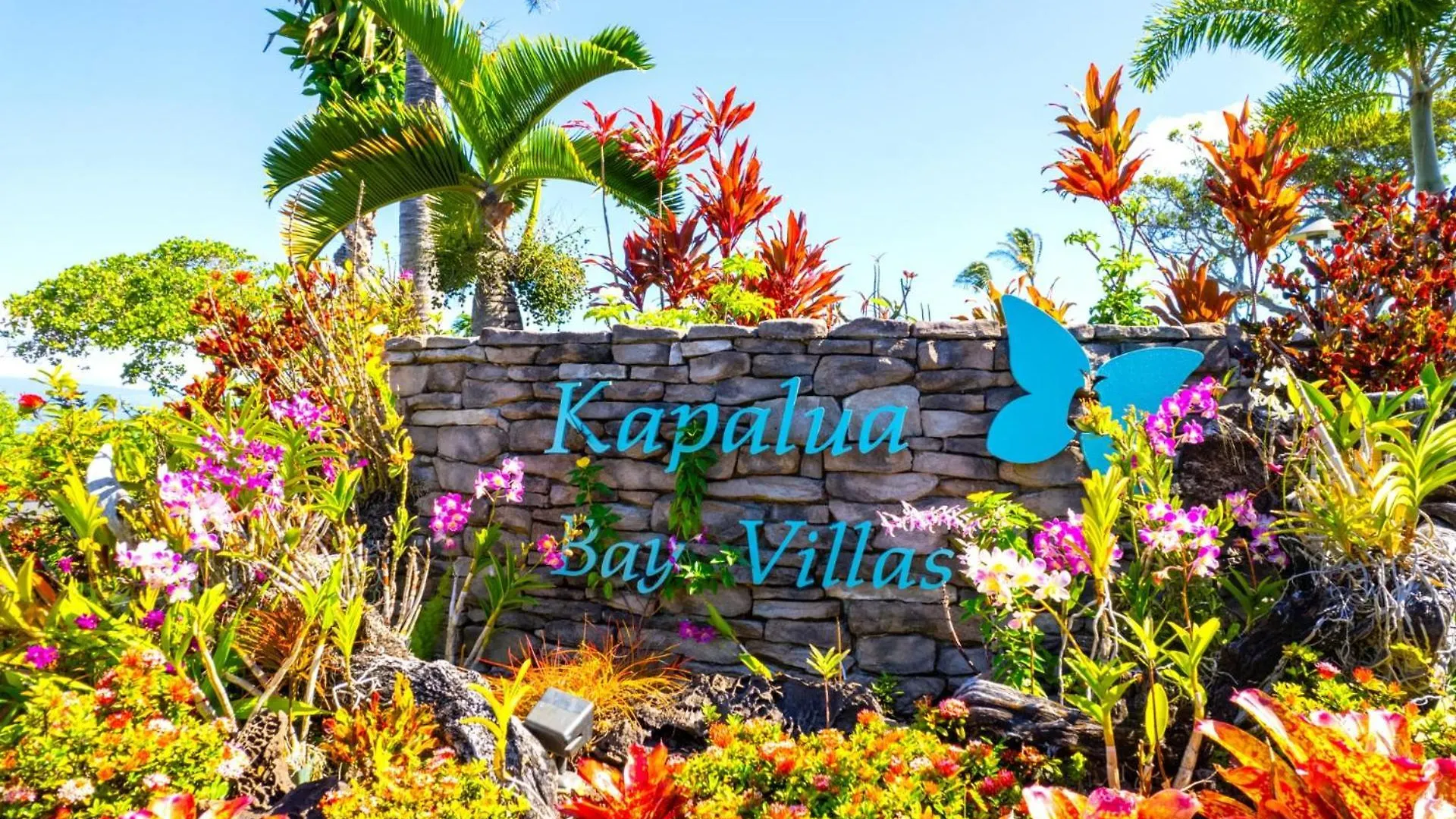 Kbm Resorts Spacious 5-Bedroom Kapalua Bay Collection Multi Unit Listing Ocean Views 3 Free Rental Cars Kbv-14G415B316G4 0*,