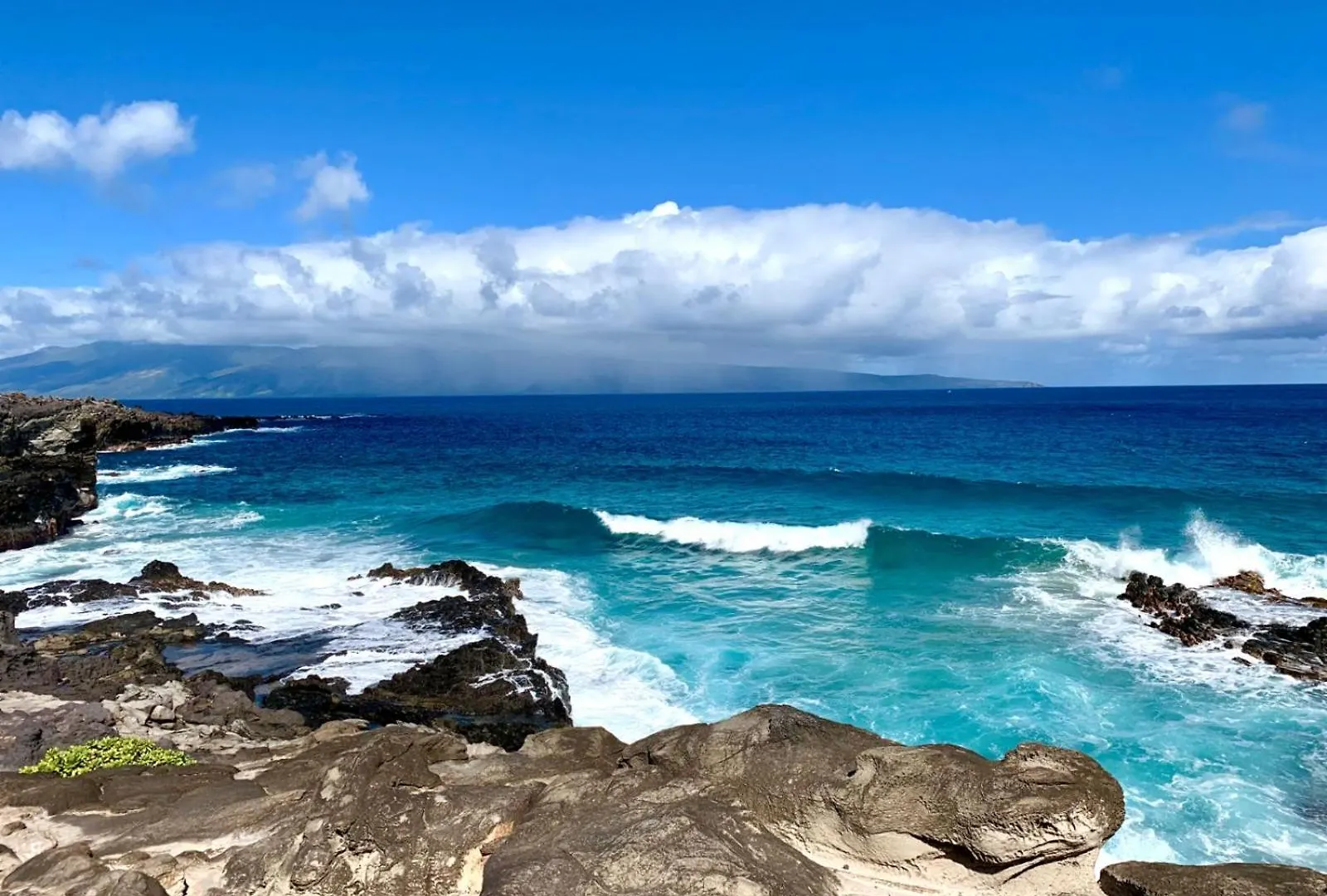 Kbm Resorts Spacious 5-Bedroom Kapalua Bay Collection Multi Unit Listing Ocean Views 3 Free Rental Cars Kbv-14G415B316G4